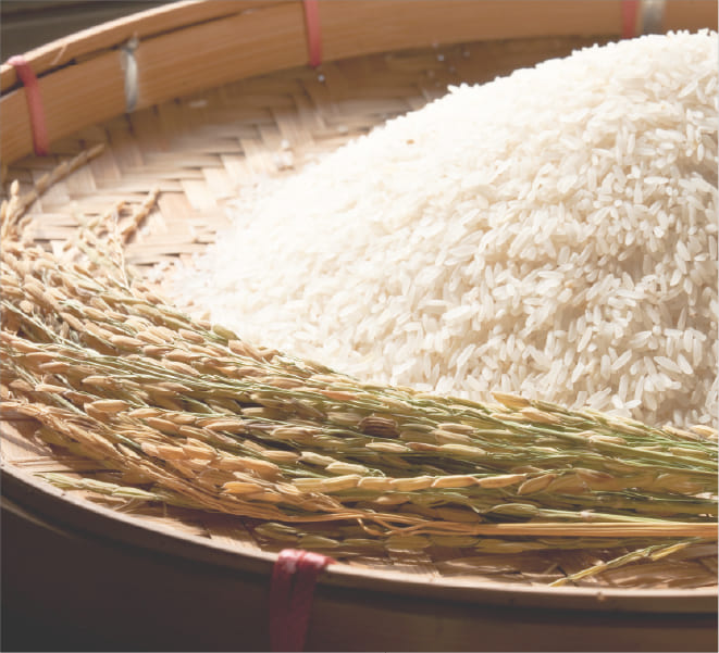 台灣在地食材與工藝