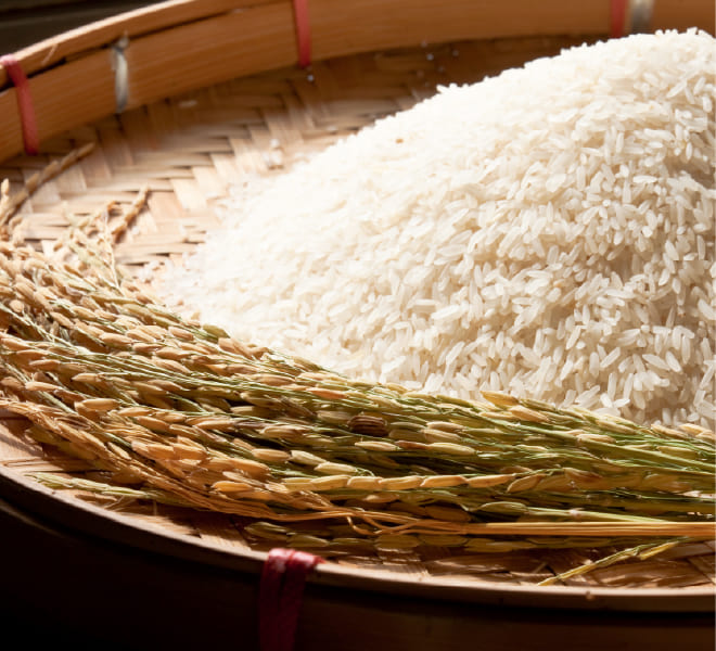 台南16號越光米